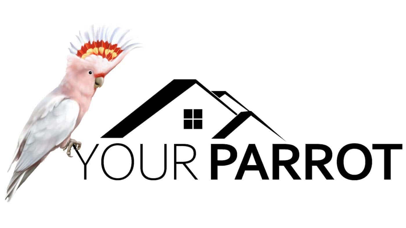 Your Parrot Logo
