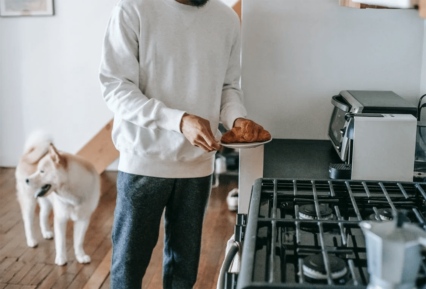 Perfect Pet Friendly Kitchen Exist!