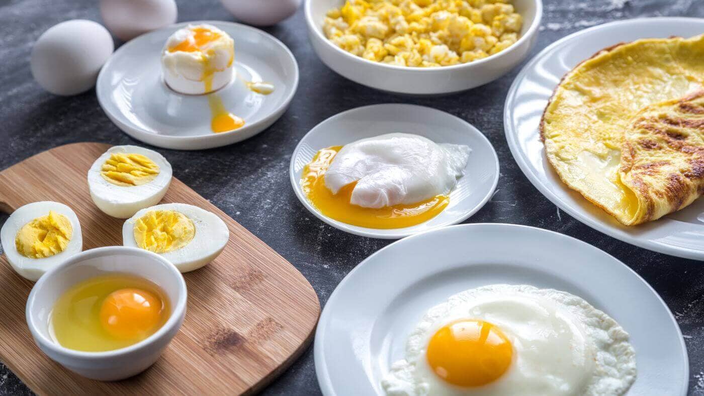 How to prepare eggs for your parrot