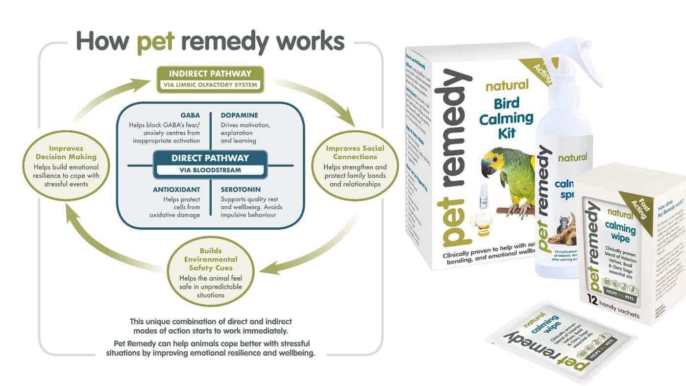 How does Pet Remedy work?