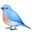 🐦
