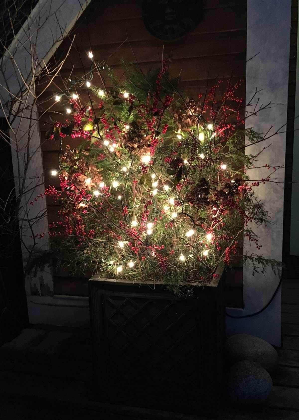 Making a Holiday Container to Decorate Your Entryway - Longfield Gardens