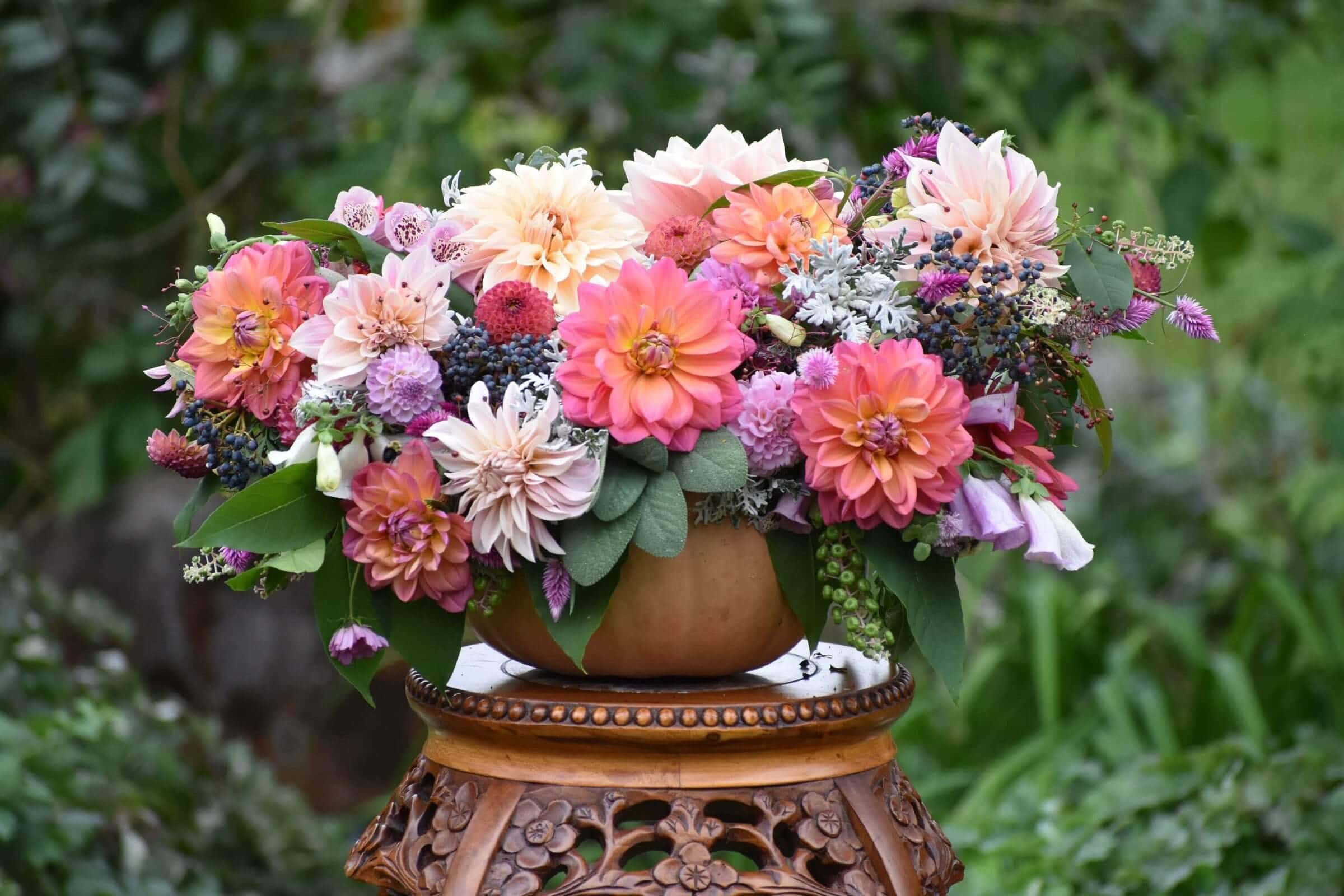 Dahlia Flower Forms for the garden and vase Longfield Gardens