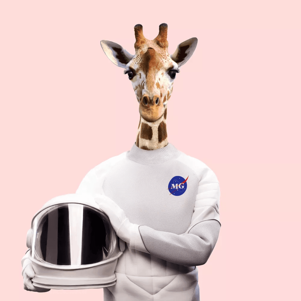 Album Art | More Giraffes