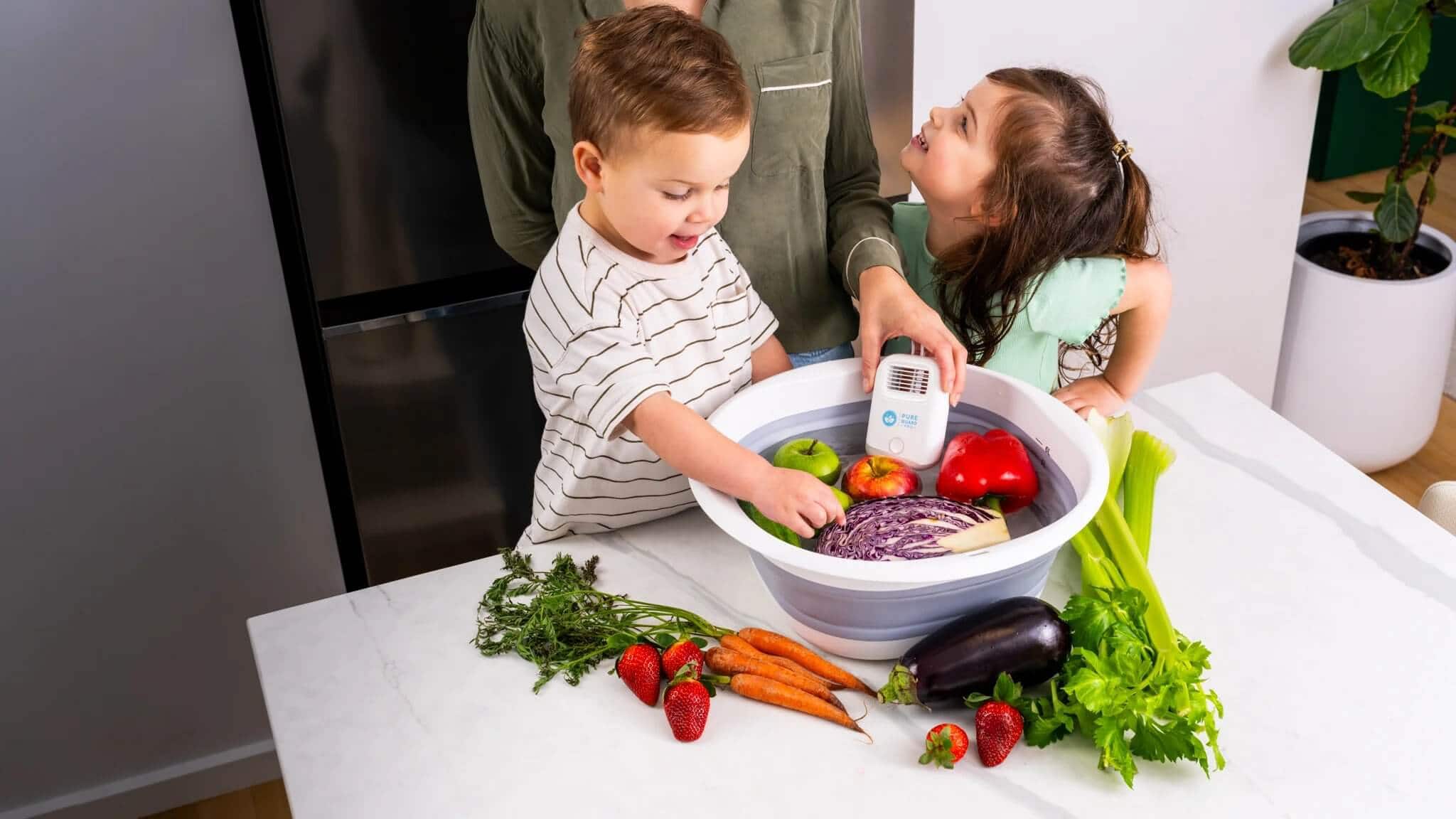 Purify Your Produce with Pure Guard Pro - Discount Code