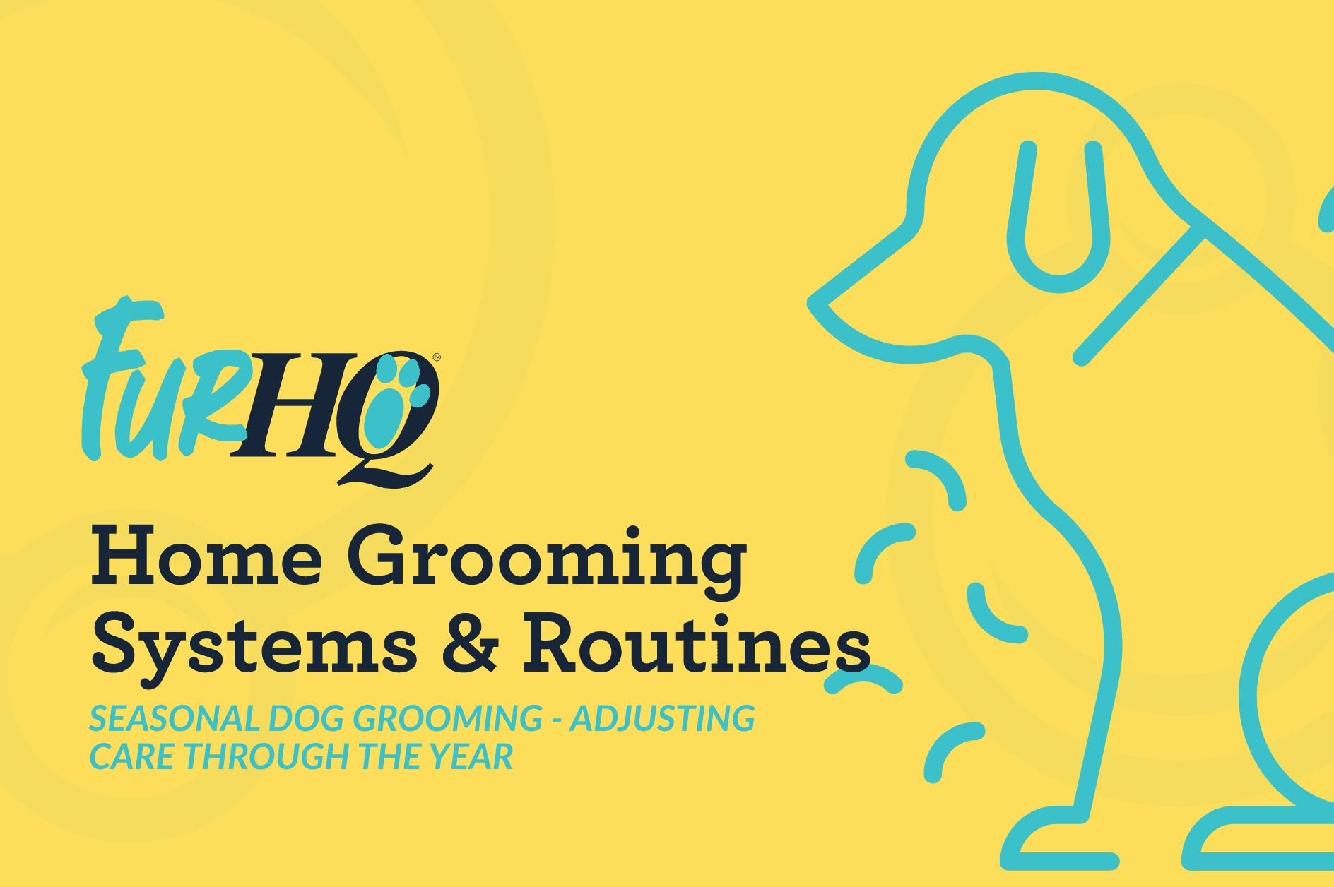 Seasonal Dog Grooming - Adjusting Care Through the Year