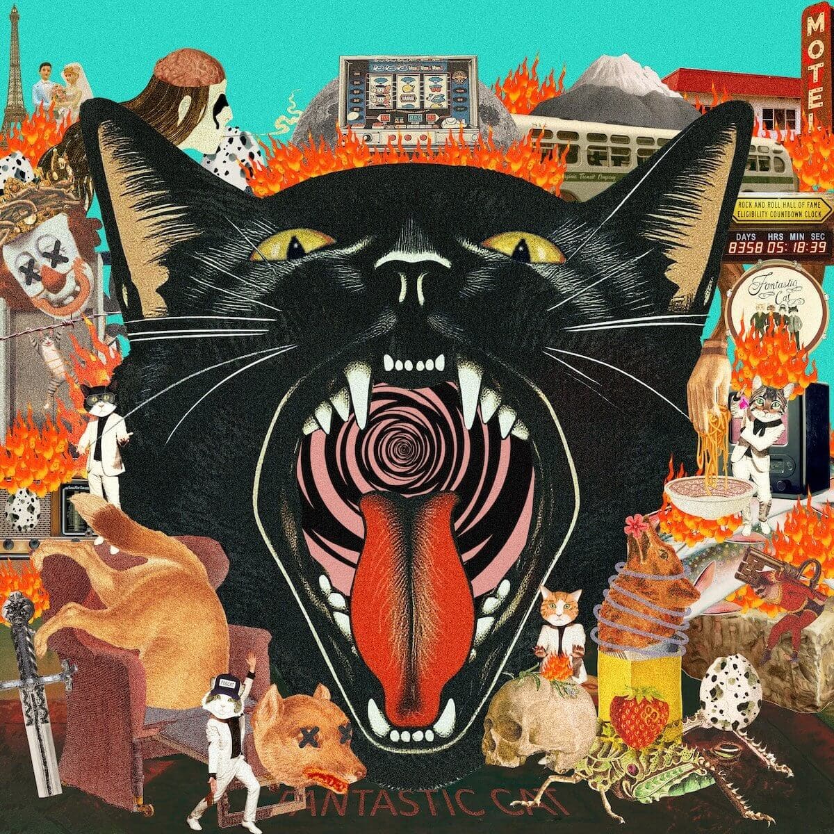 Cat Out Of Hell Album Cover