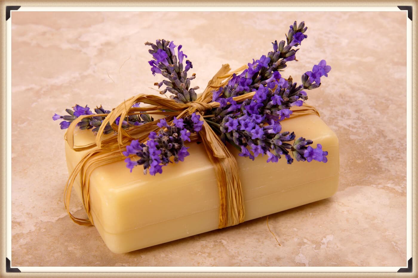 Beeswax Lotion Bars Recipe