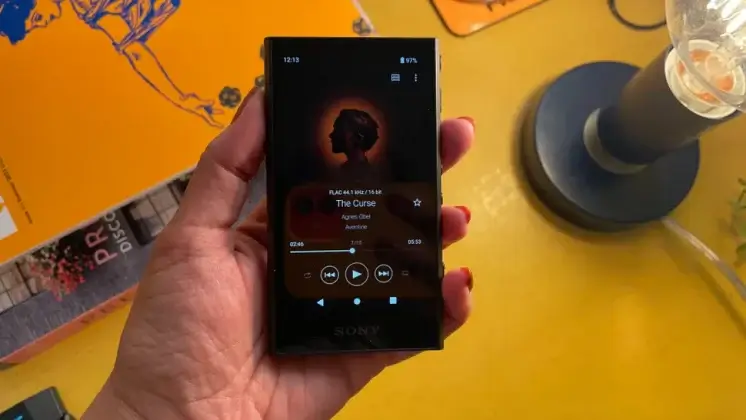 Sony NW-A306