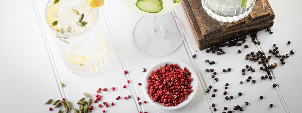 Gin Botanicals Kit