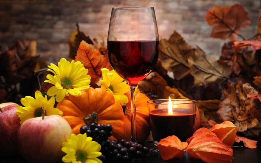 Unveiling the Top 5 Fall Red Wines of 2023