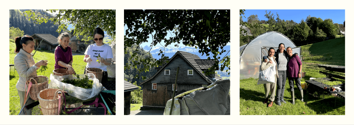 swiss herb supplier