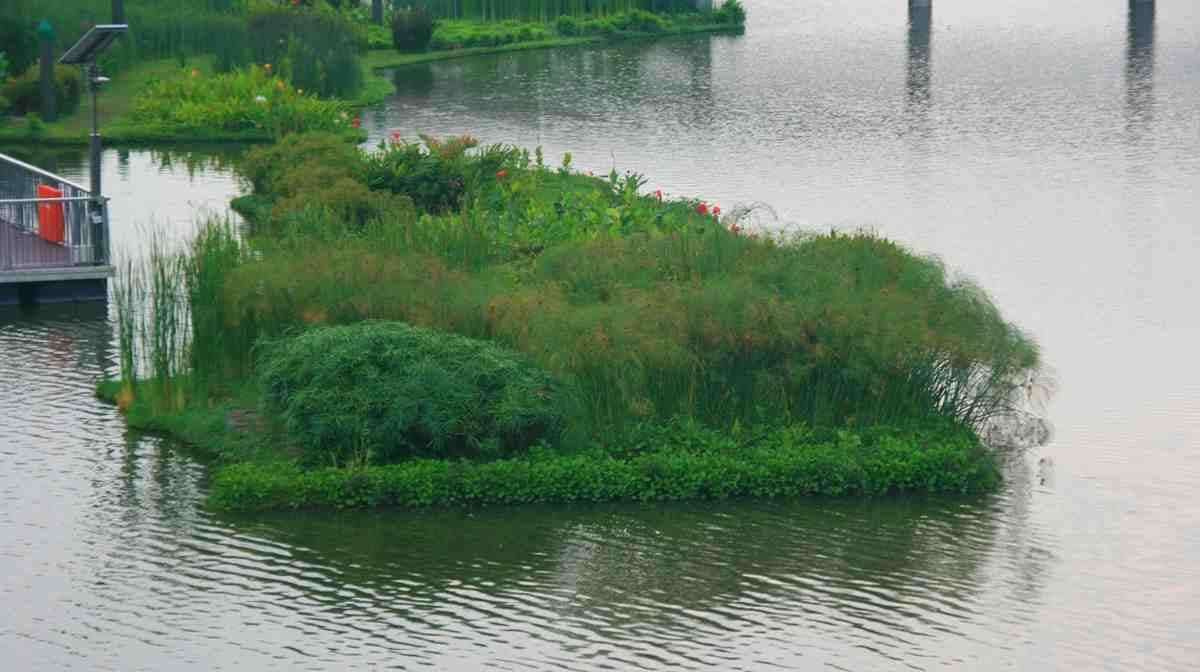 Singapore's Sengkang Floating Wetland