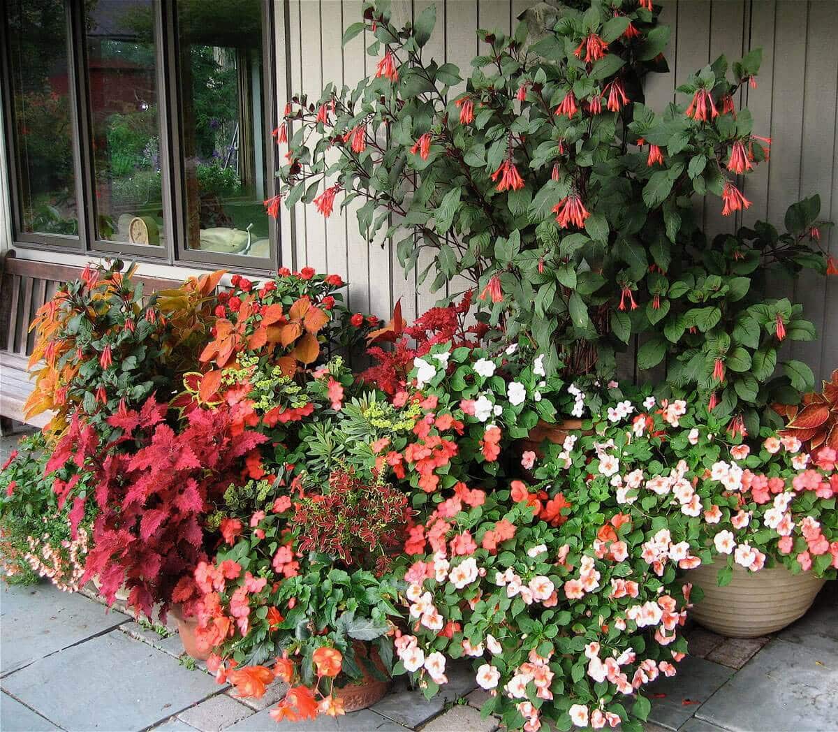 How to Group Container Plants Tips from Great Dixter - Longfield Gardens