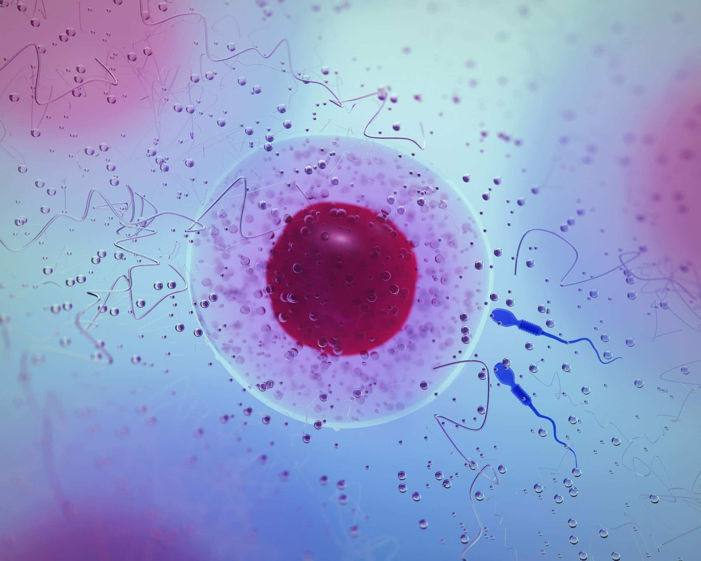 low sperm count