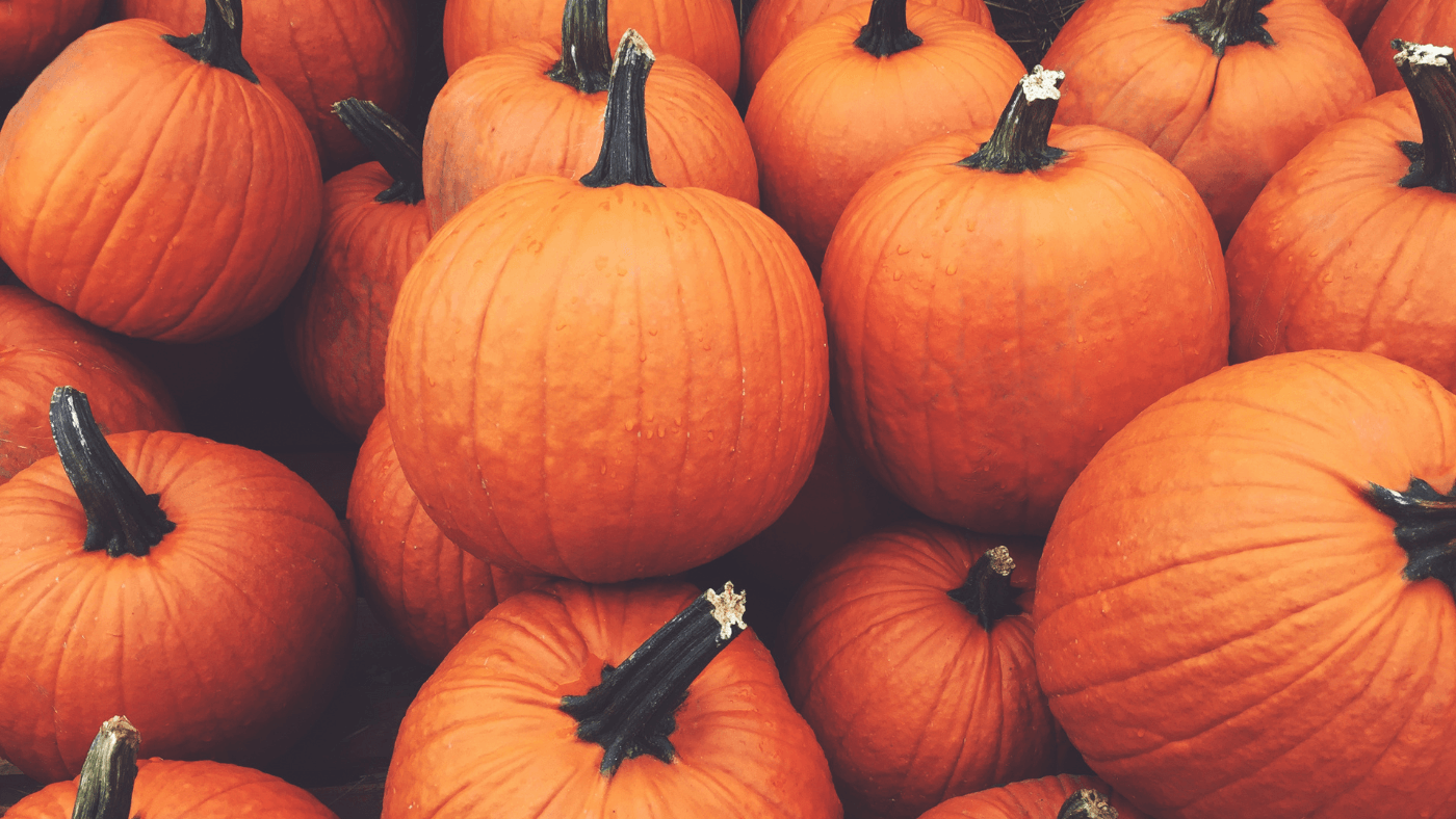 100 Halloween Would You Rather Questions for Parties, Kids, and Classrooms