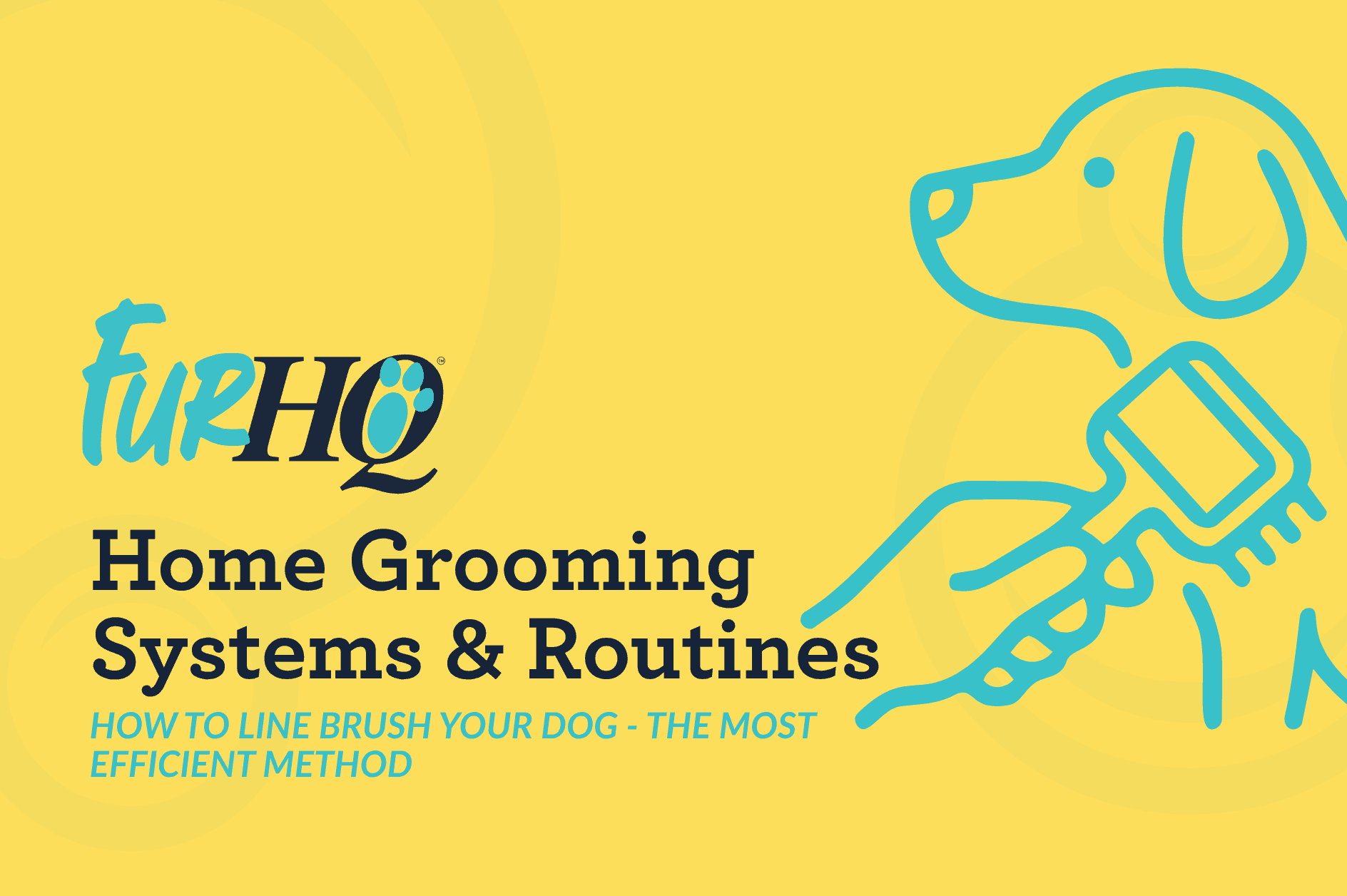 How to Line Brush Your Dog - The Most Efficient Method