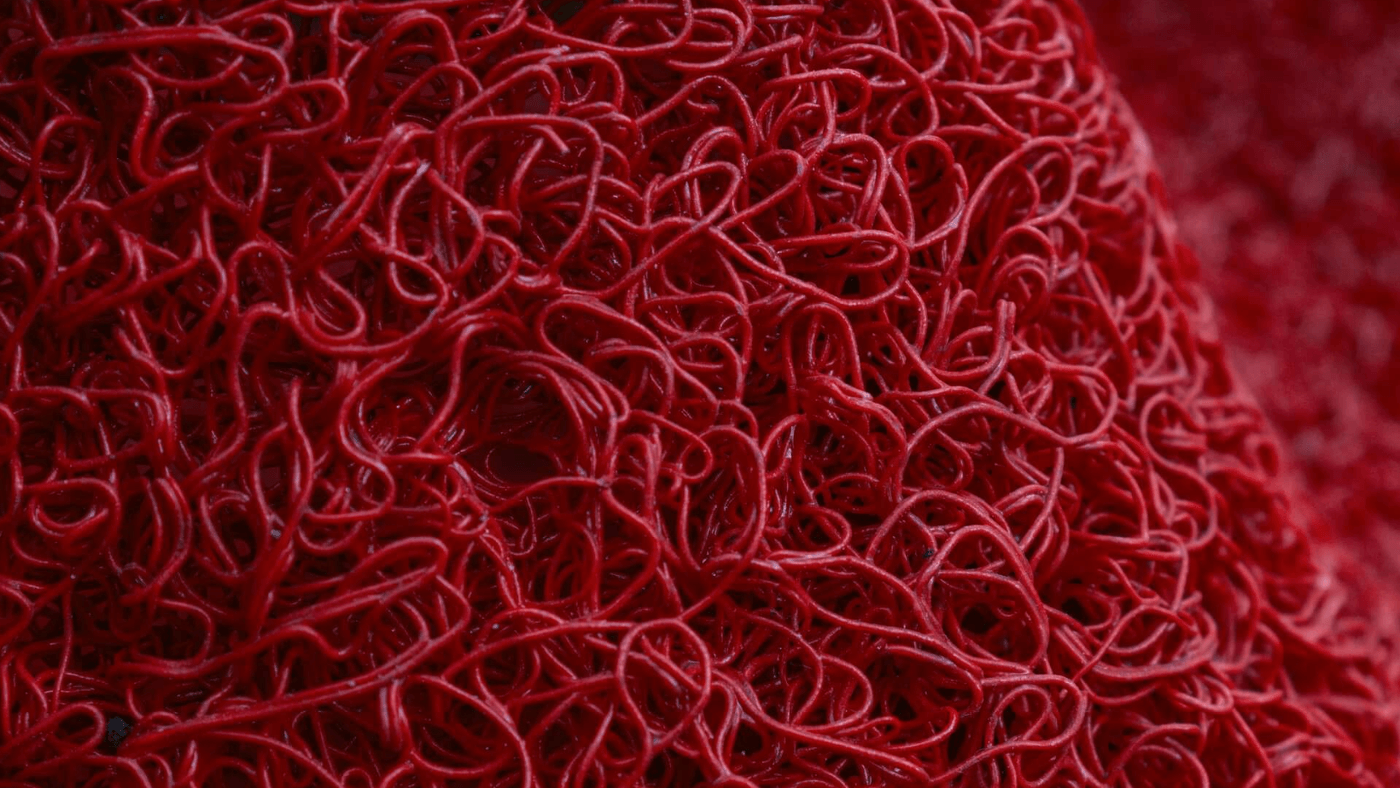 A Comprehensive Overview of Vitamin K2