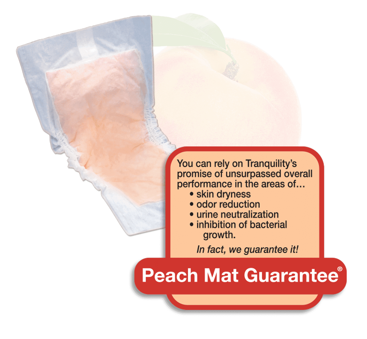 Adult Diapers 2026 – Tranquility Diapers Product Update