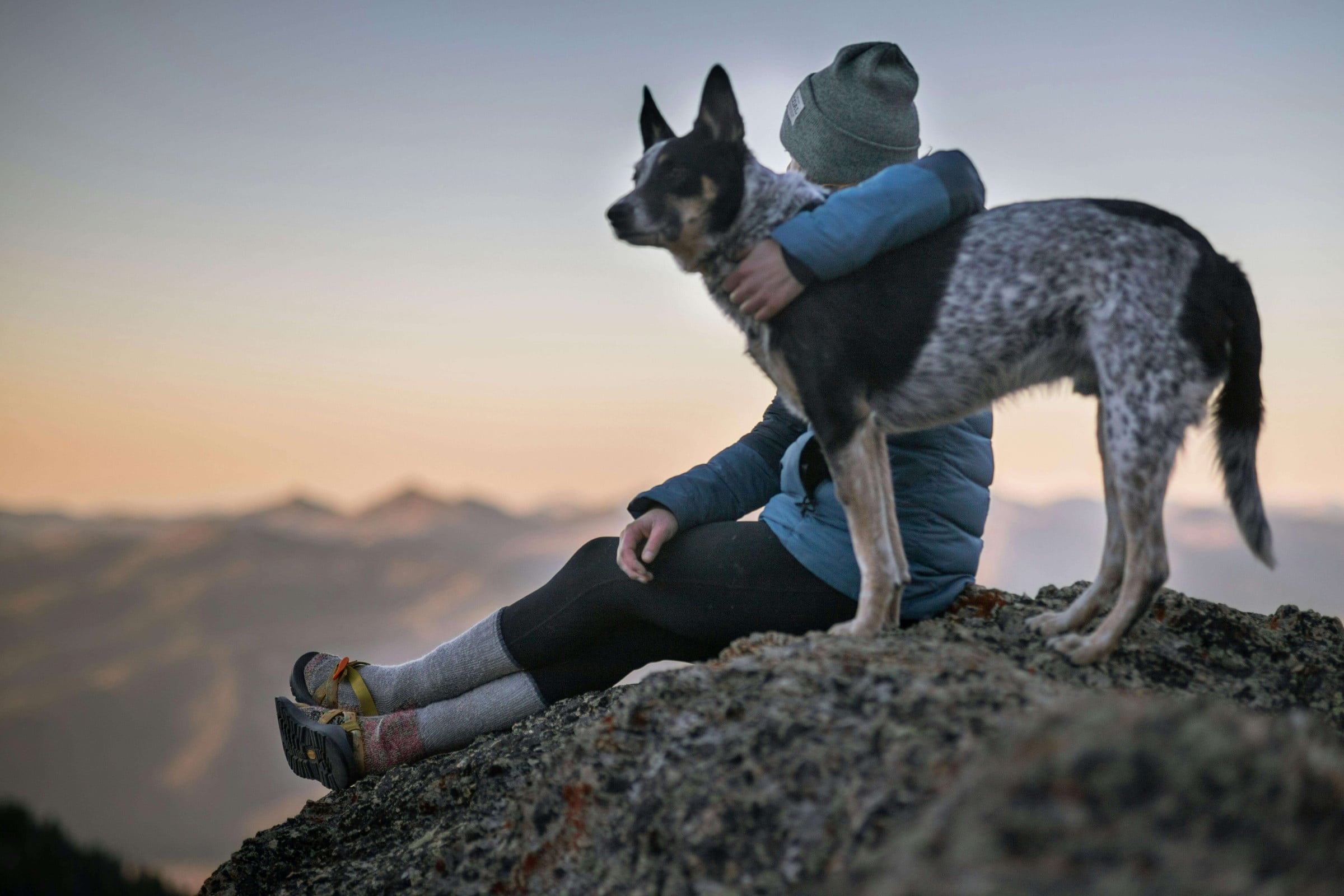 Travel with Pets