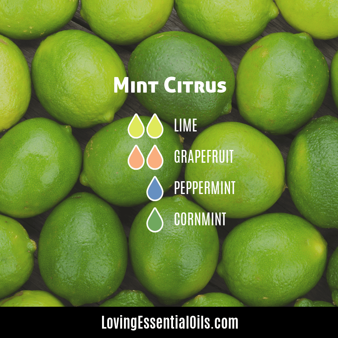 Cornmint essential oil diffuser blends by Loving Essential Oils