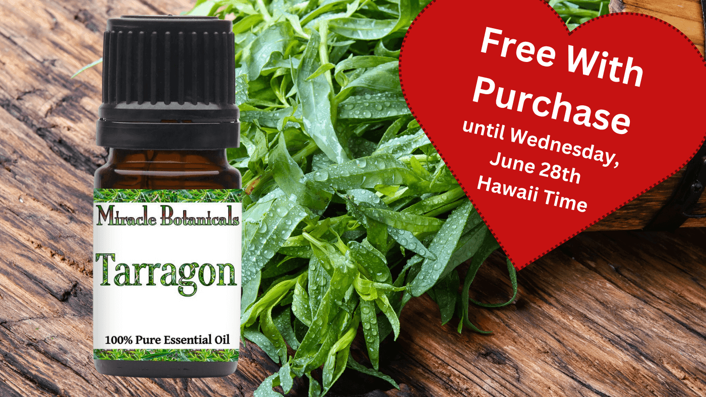Free Essential Oil with Purchase