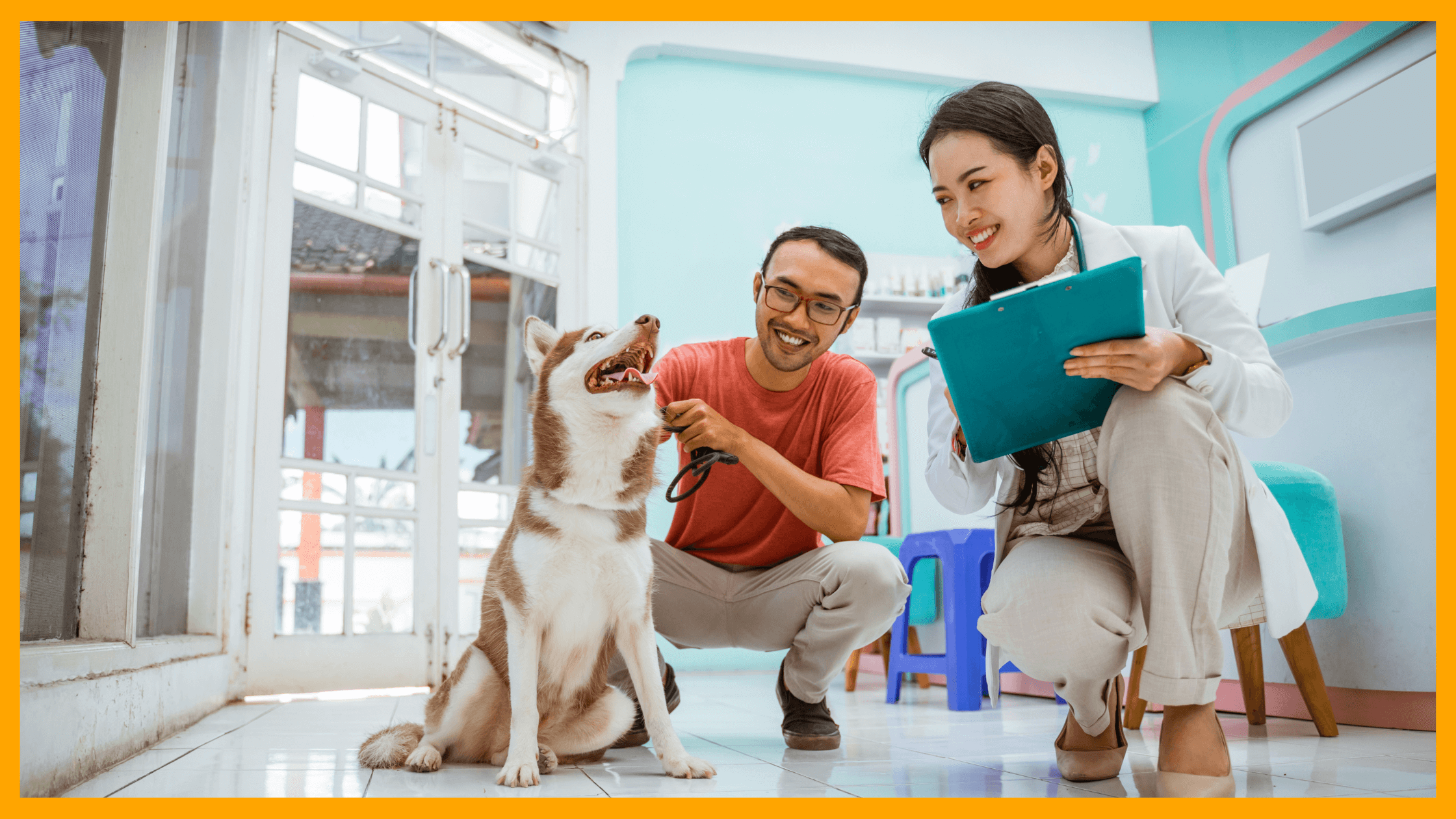 6 Questions to Ask at Your Next Vet Visit (Most People Forget #4)