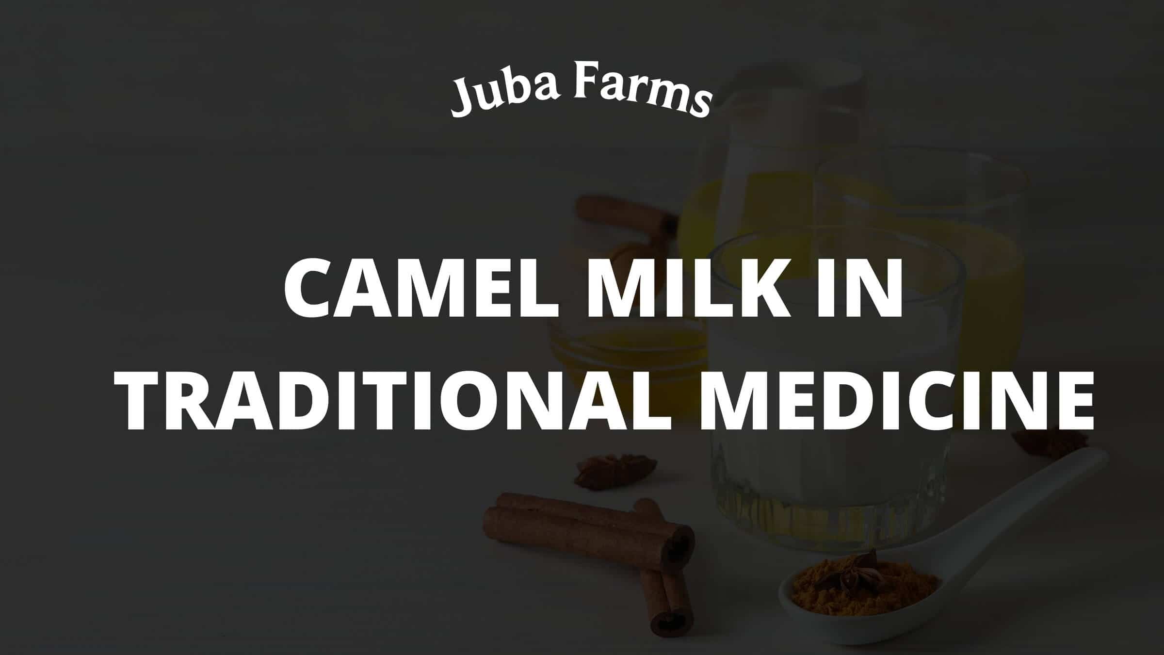 Camel Milk in Traditional Medicine