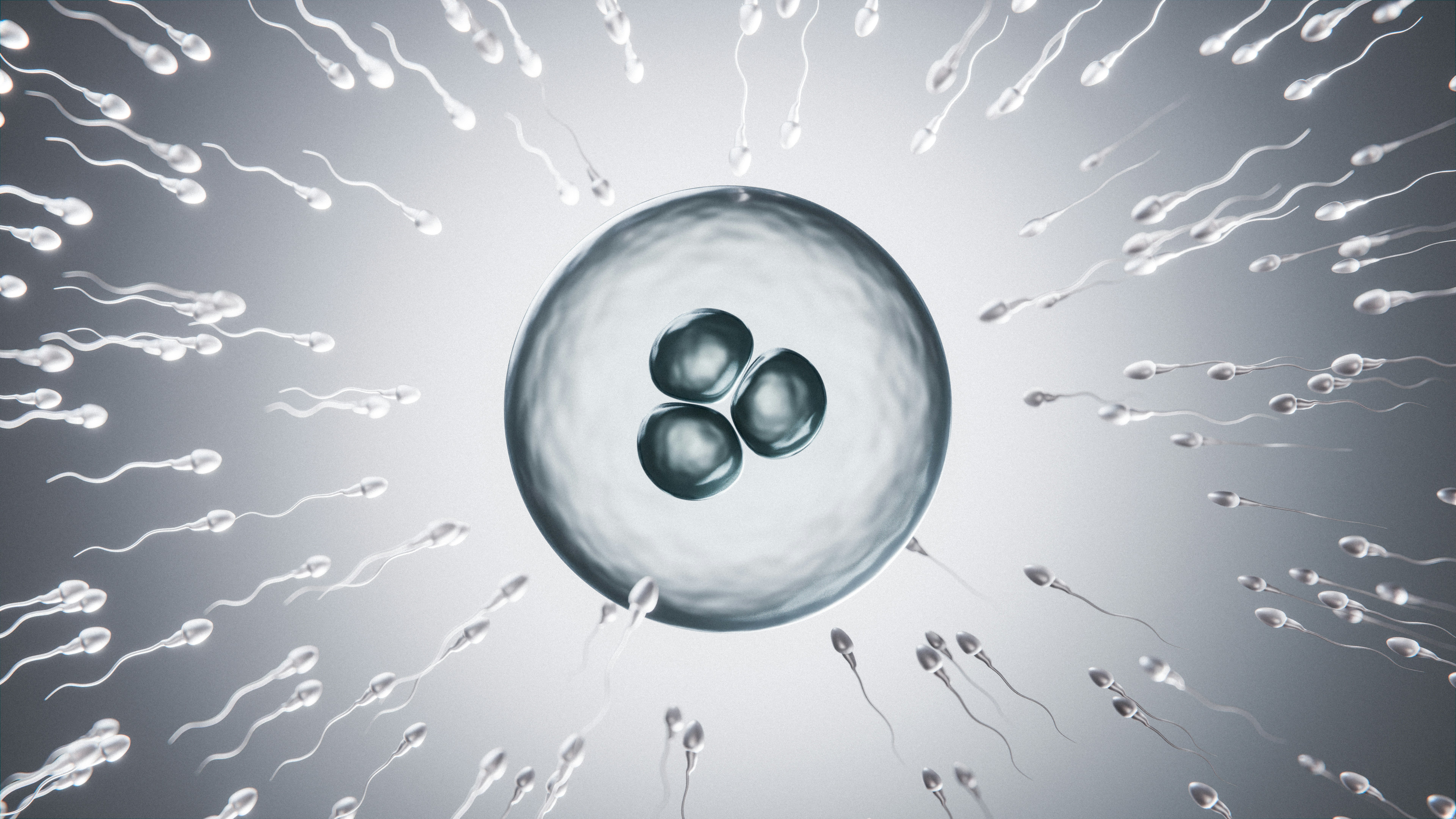 sperm count