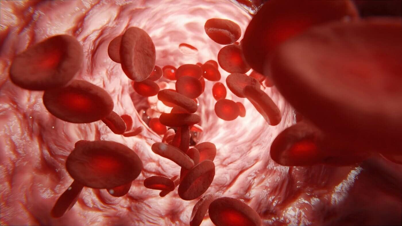 Nattokinase: Side Effects and Considerations