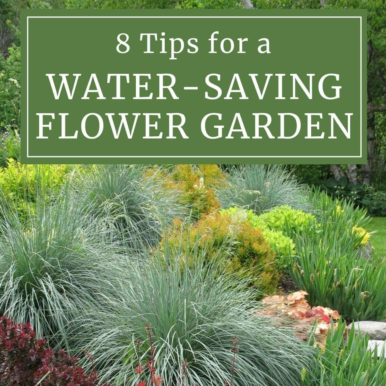 Less Water, More Flowers: 8 Tips for a Water-Saving Flower Garden