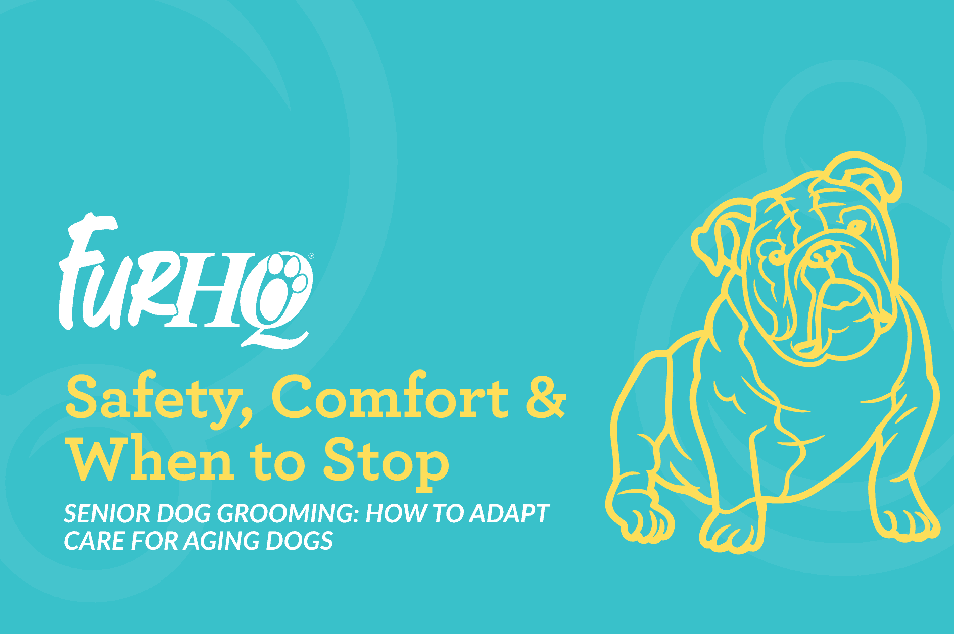 Senior Dog Grooming: How to Adapt Care for Aging Dogs