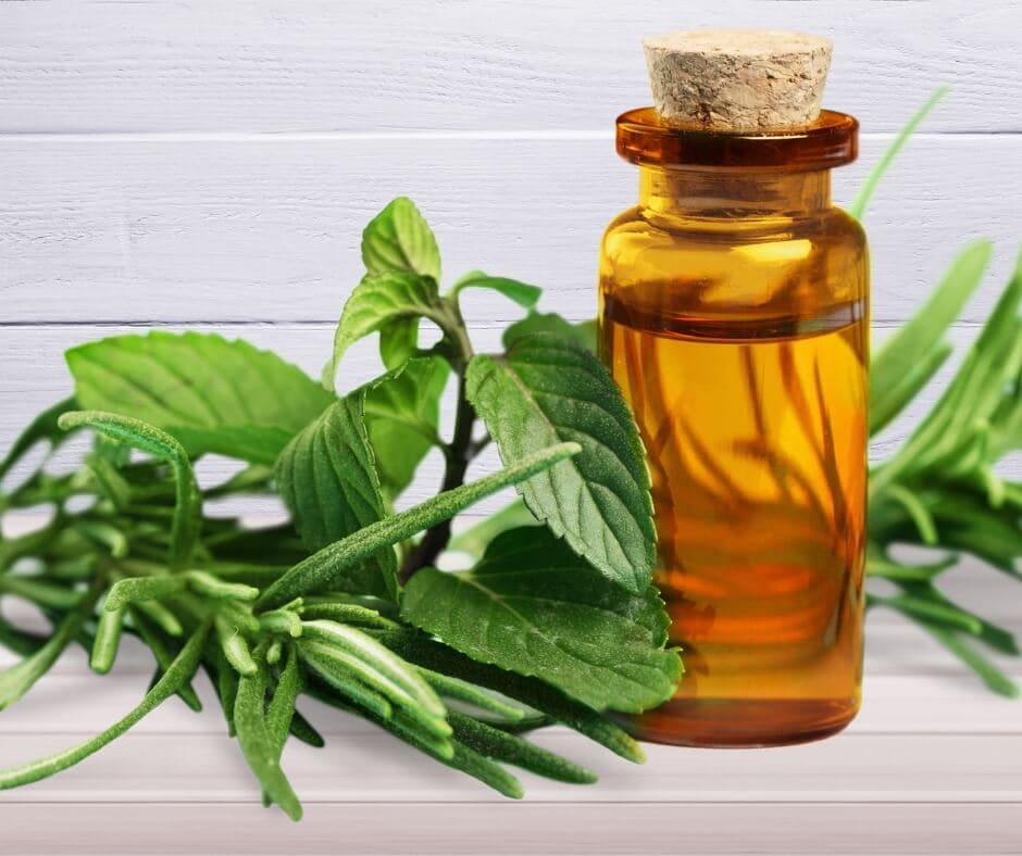Tea tree essential oil blends by Loving Essential Oils