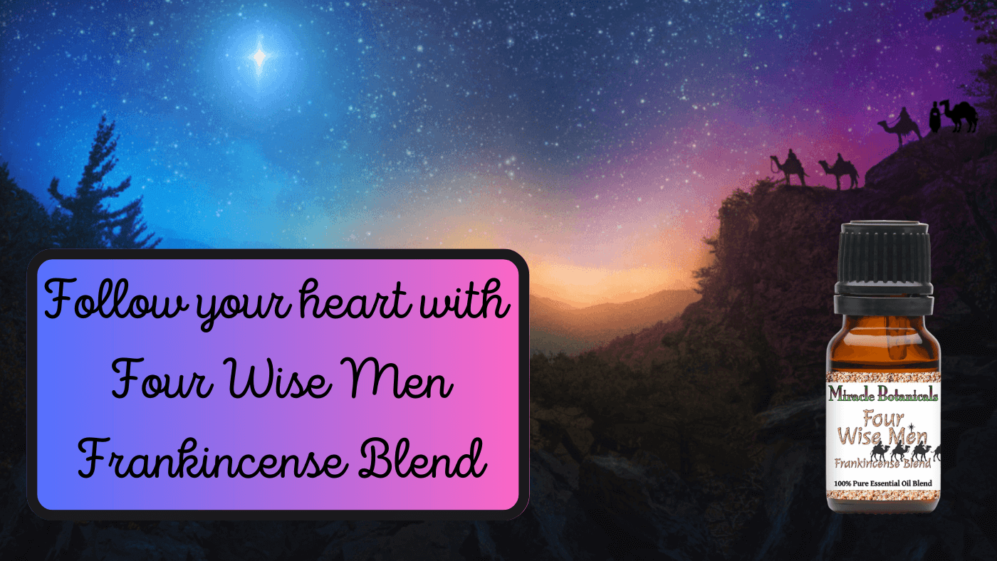 Flourish in the New Year with Four Wise Men