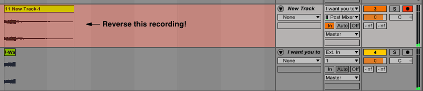 Reversing a sample in Ableton Live