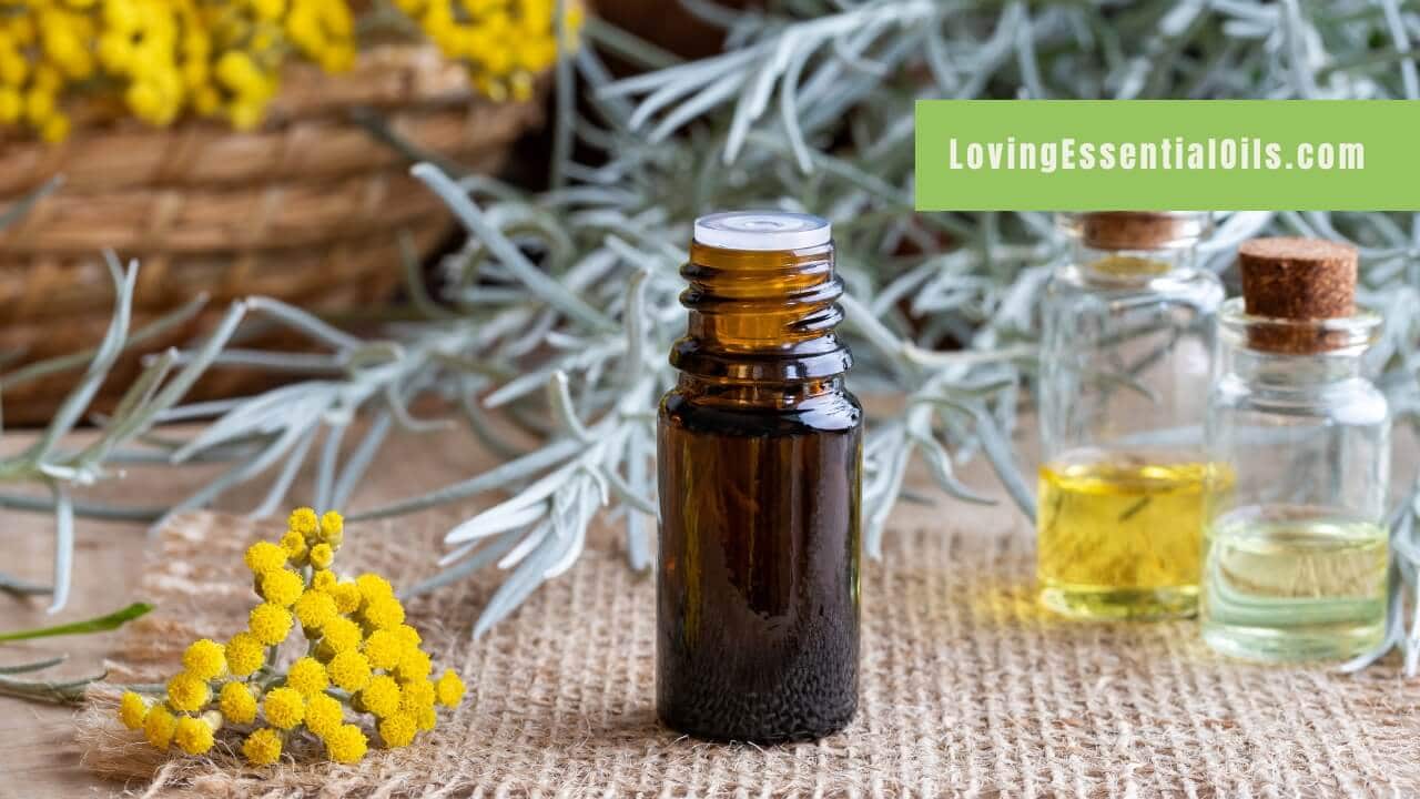 Helichrysum essential oil blends by Loving Essential Oils