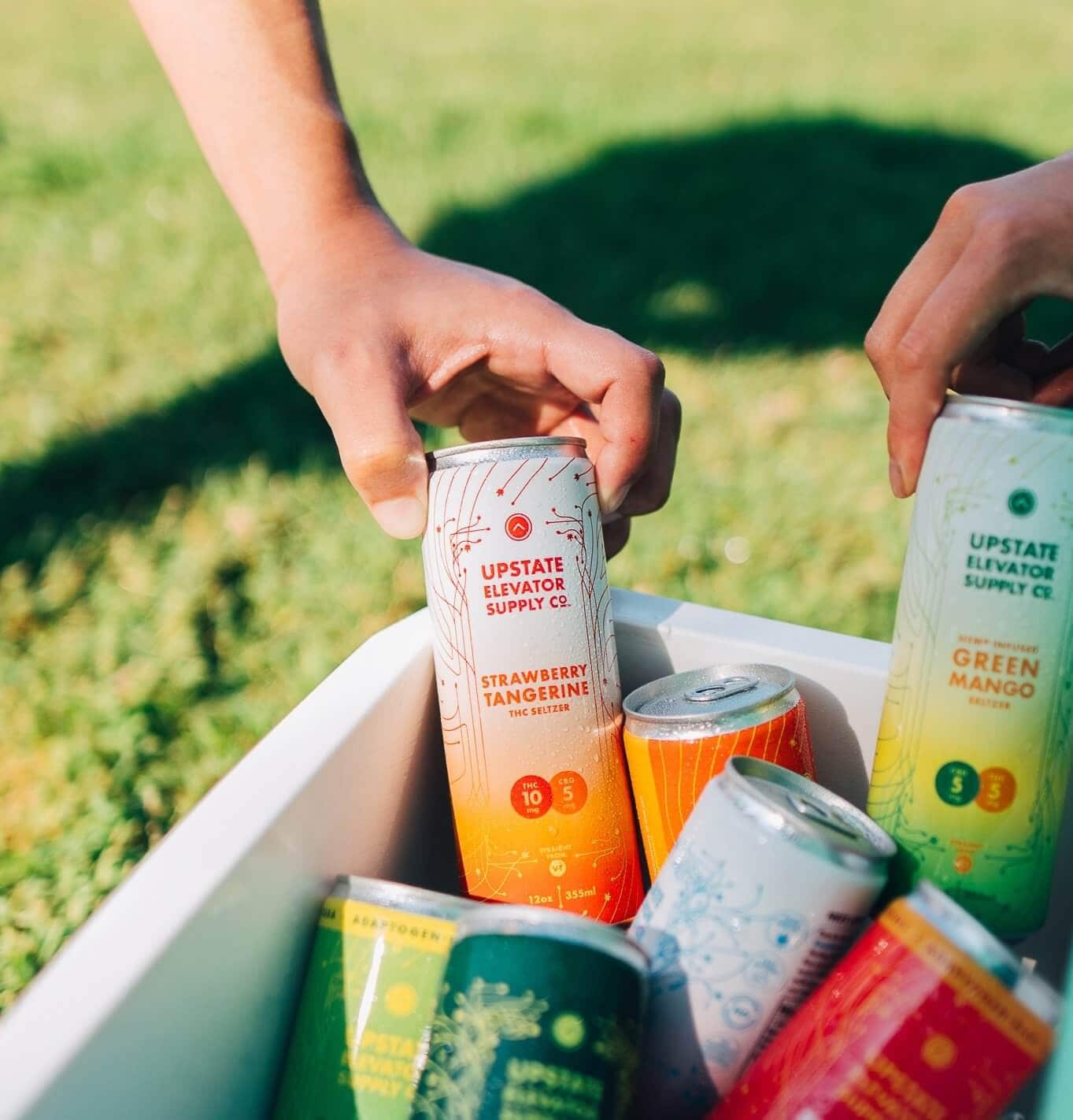 Hands pulling Upstate Elevator Strawberry Tangerine and Green Mango seltzer cans from a cooler on the grass