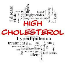 The Caregiver Guide - Managing Cholesterol - Good and Bad
