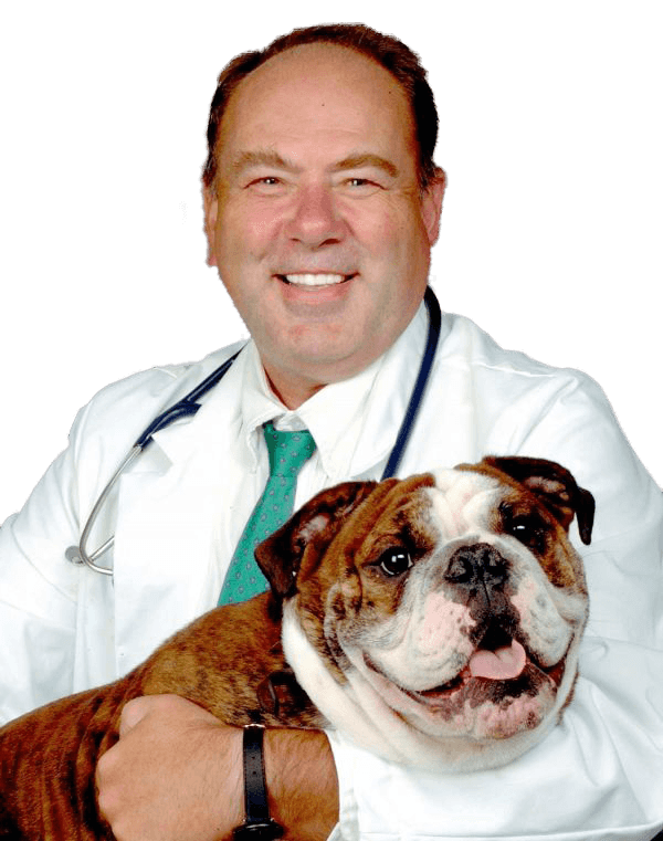 Dr. James Anthony, BSc(Agr.), DVM, MRCVS, FAVD. DipAVDC, DipEVDC, PAg