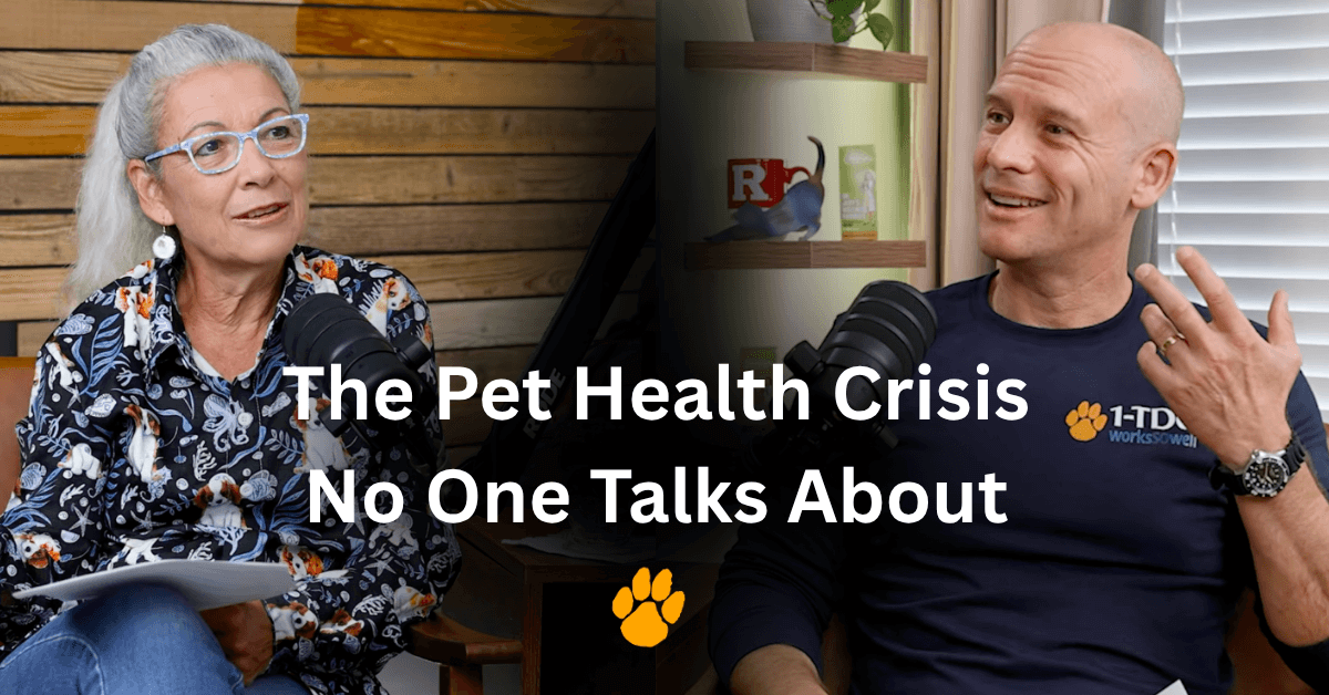 Your Pet's Bad Breath Is Trying to Tell You Something — A Conversation with Dr. Judy Morgan