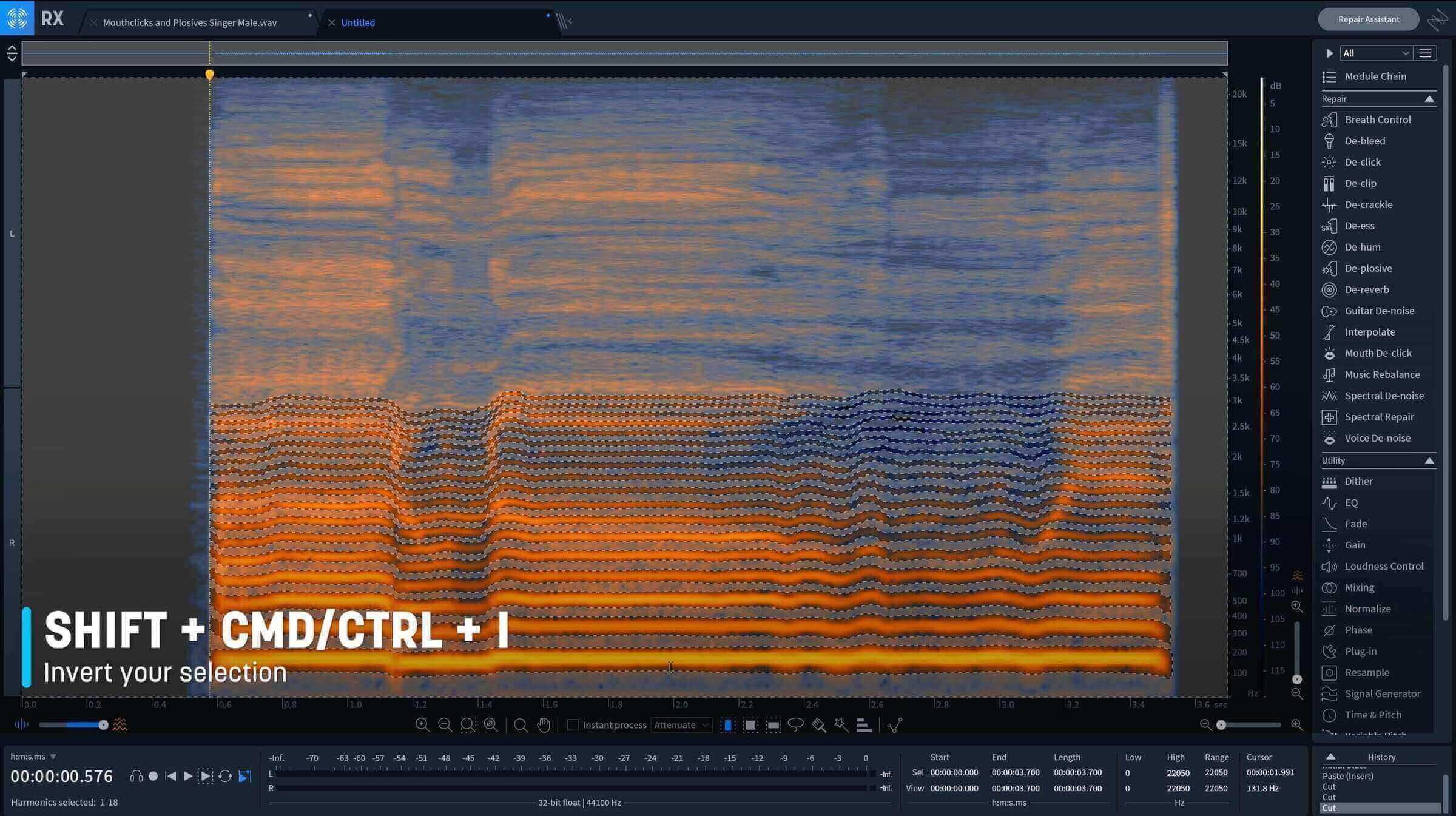 Pressing shift command (or control) and i will invert the selection completely, allowing you to focus on the noise profile in RX