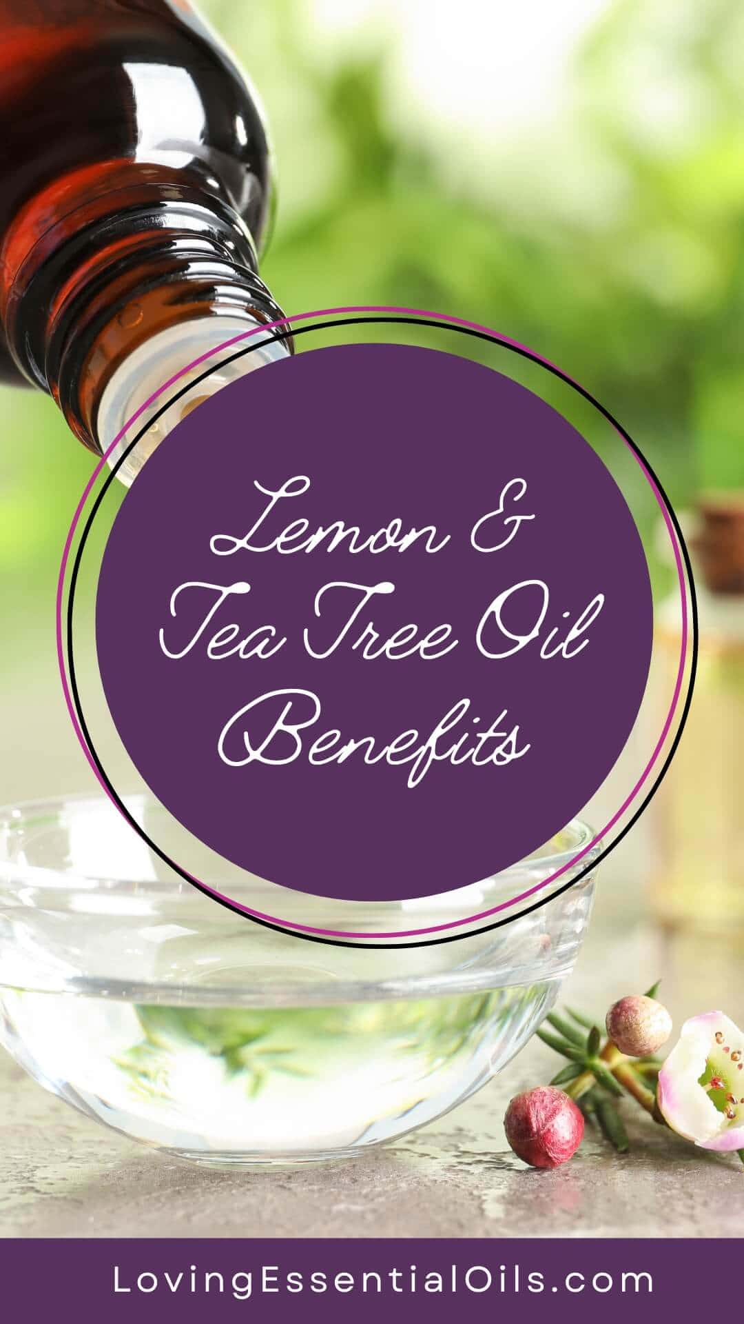 Lemon and tea tree essential oil blend benefits by Loving Essential Oils