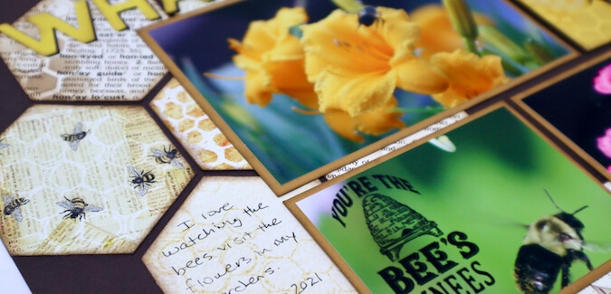 Hexagon Prints Background - What's all the buzz about?!