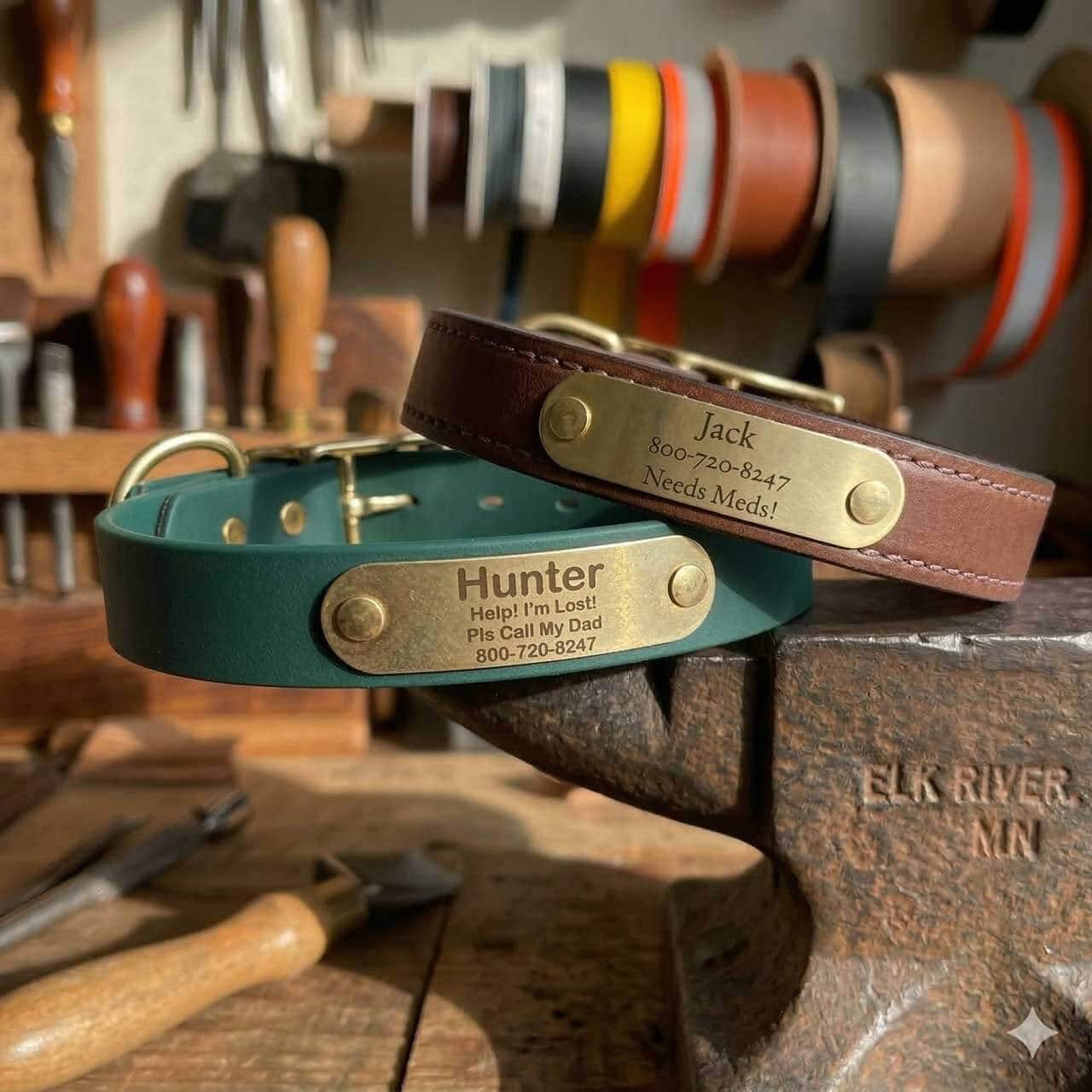 BioThane vs. Leather: Which Dog Collar is Best for Your Pup?
