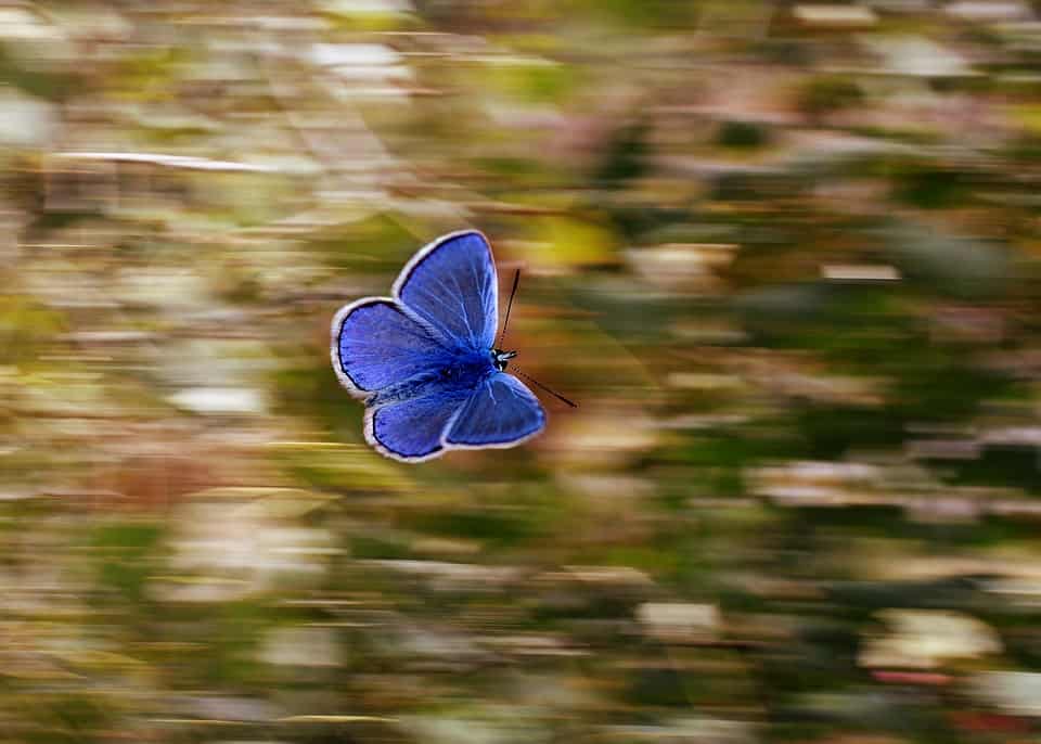 Maintain your 5D presence with 5D Mind Mastery