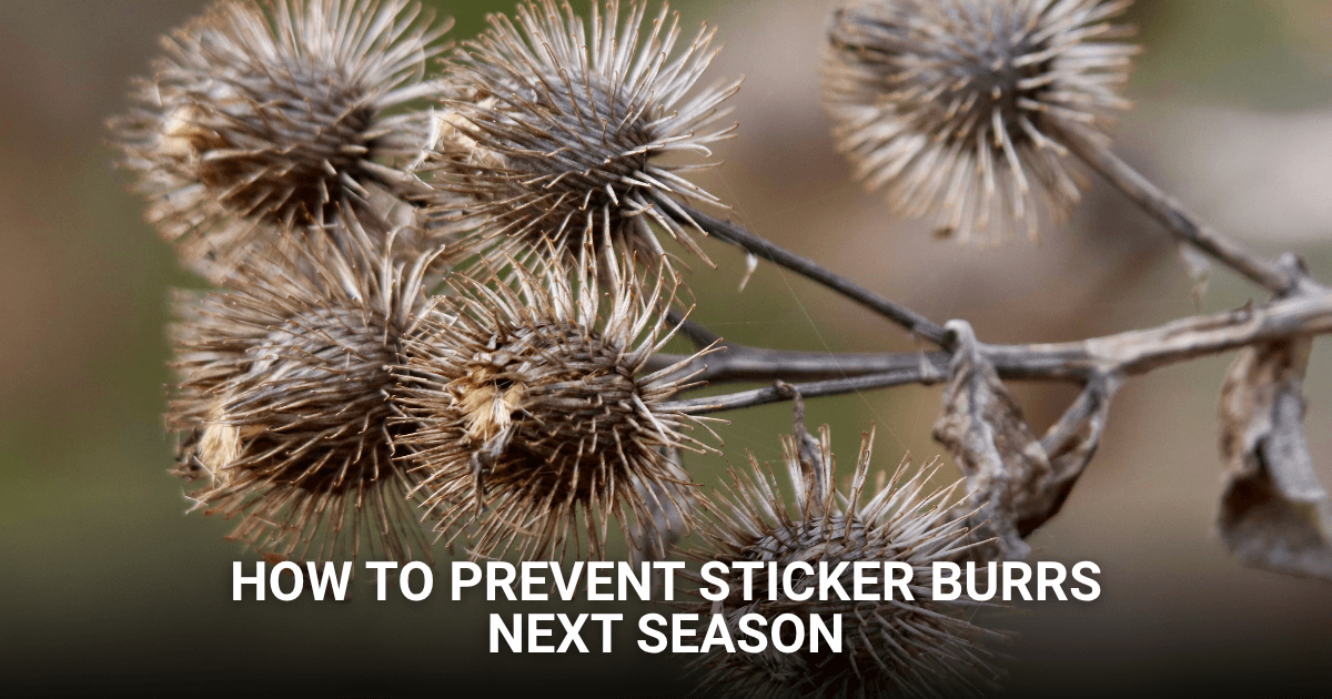 How to Prevent Stickers Next Season
