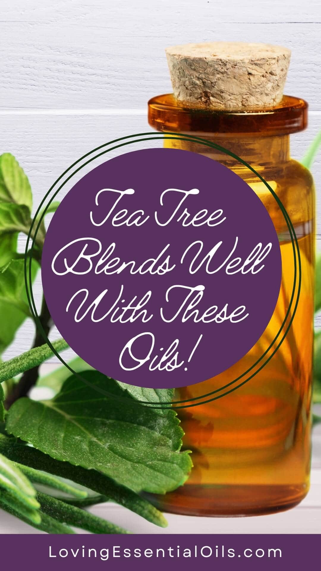 Tea tree blends well with these oils by Loving Essential Oils