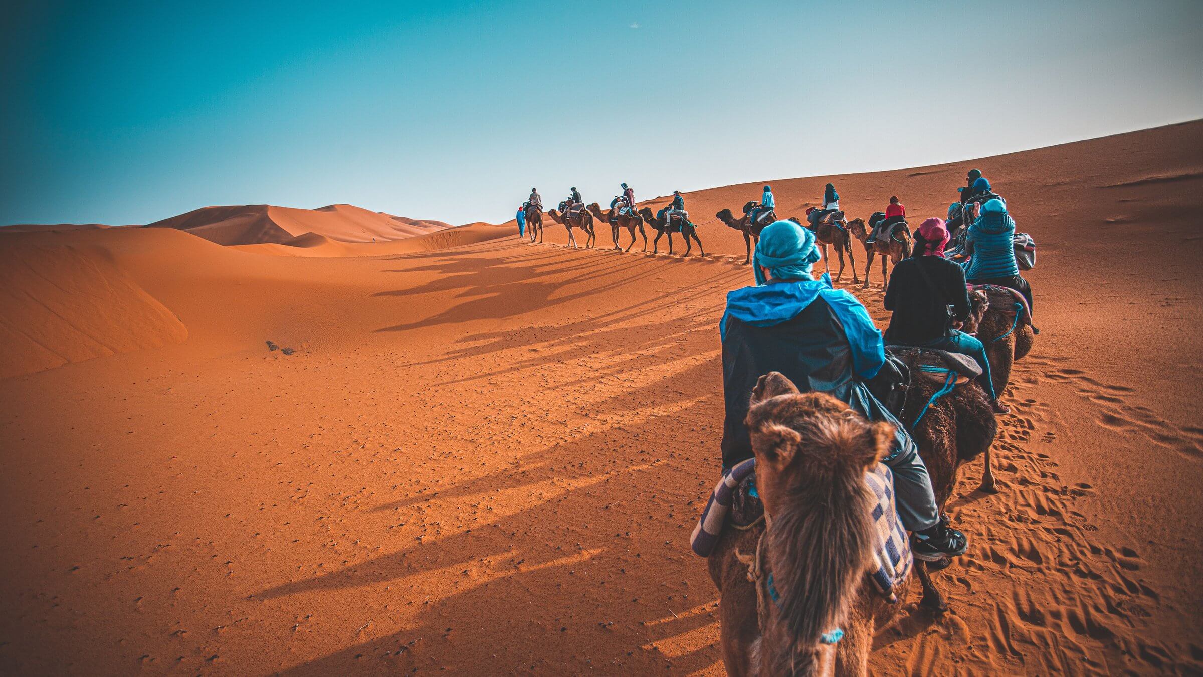 Is camel milk worth trying
