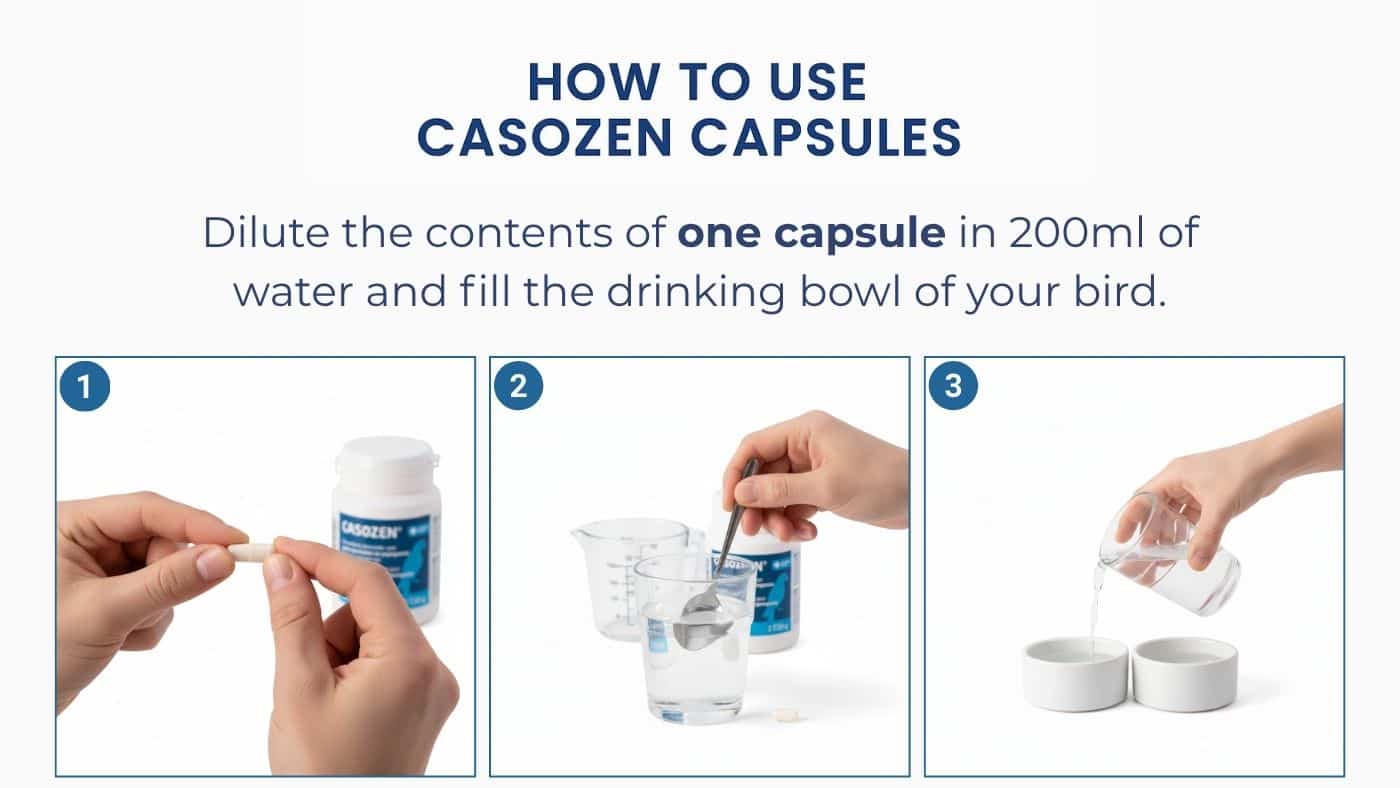 How to use Casozen capsules for parrots, showing how to mix one capsule with 200ml of drinking water in three simple steps