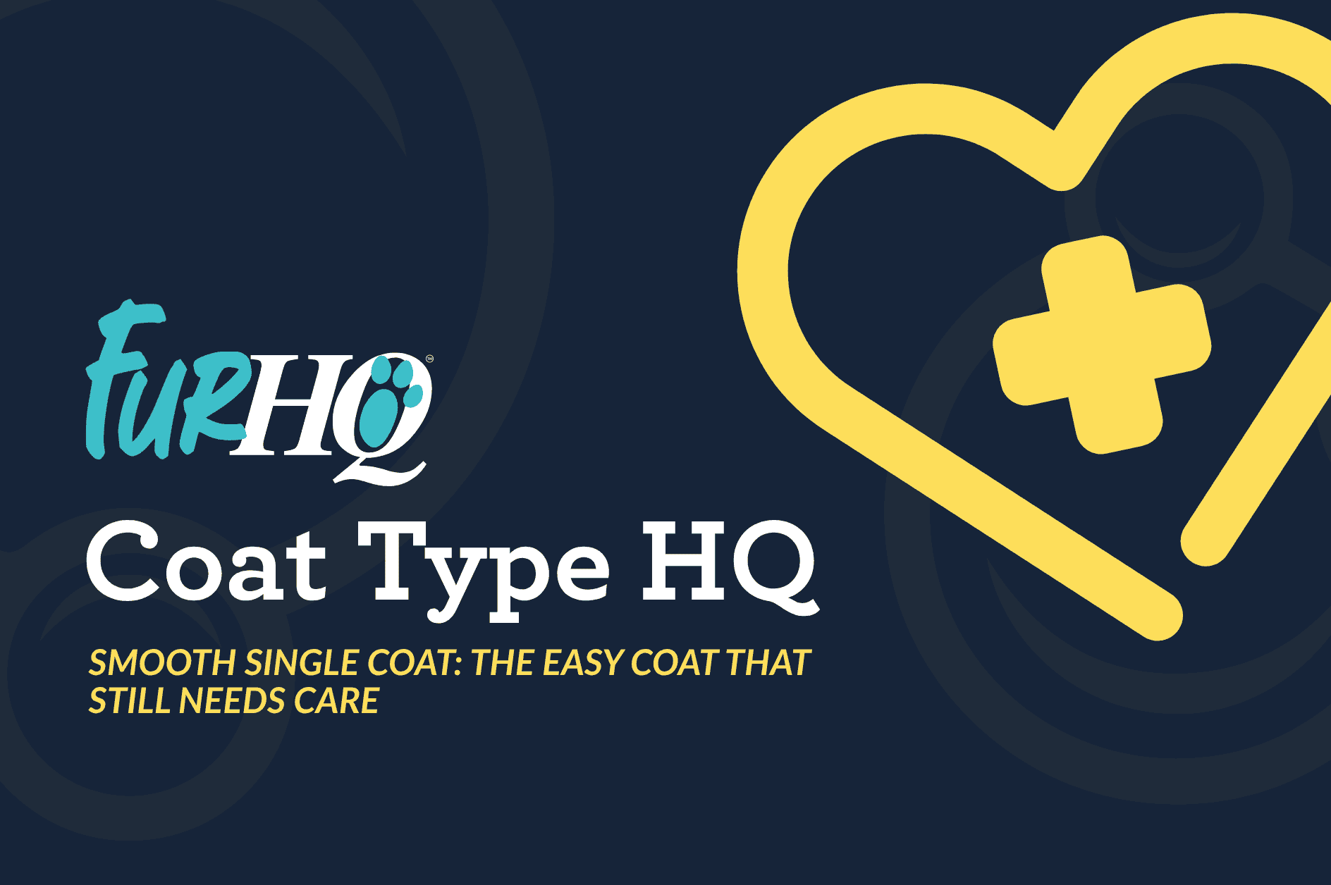 Smooth Single Coat Dogs -The Easy Coat That Still Needs Care